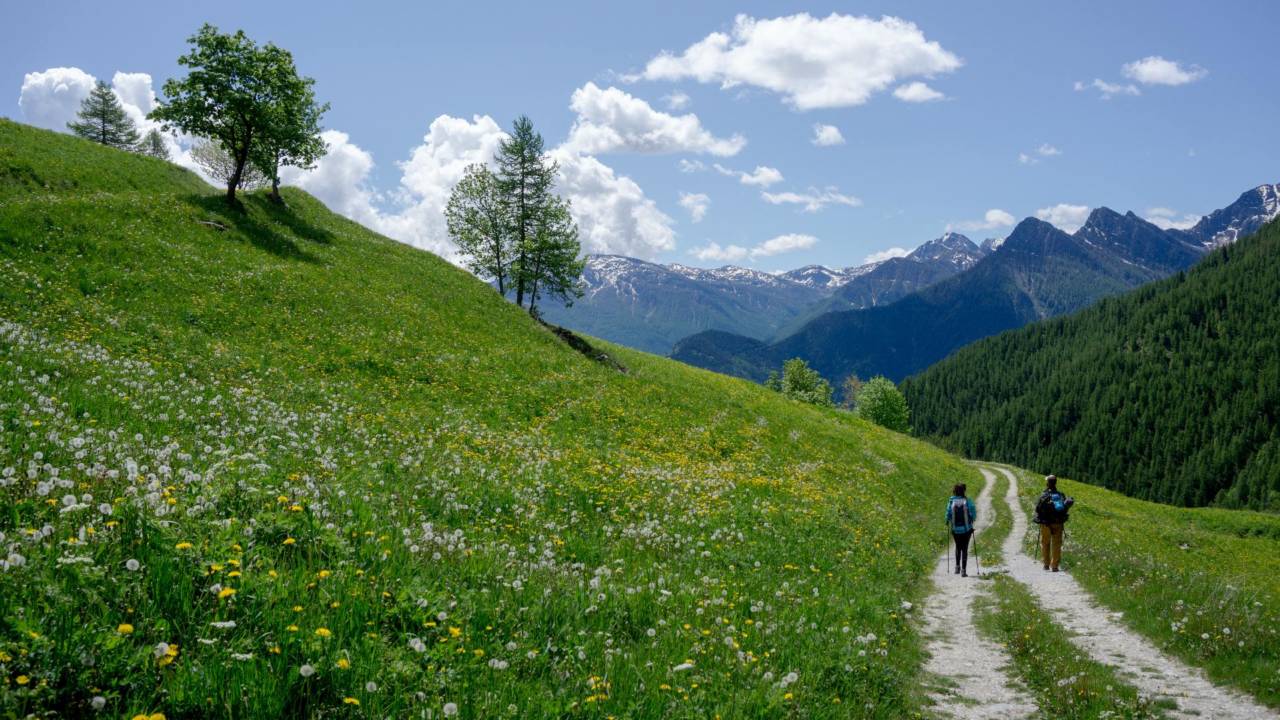 Trekking Alps: we organize Hiking Tours in the Alps